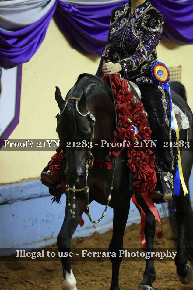 Proof 21YN_21283