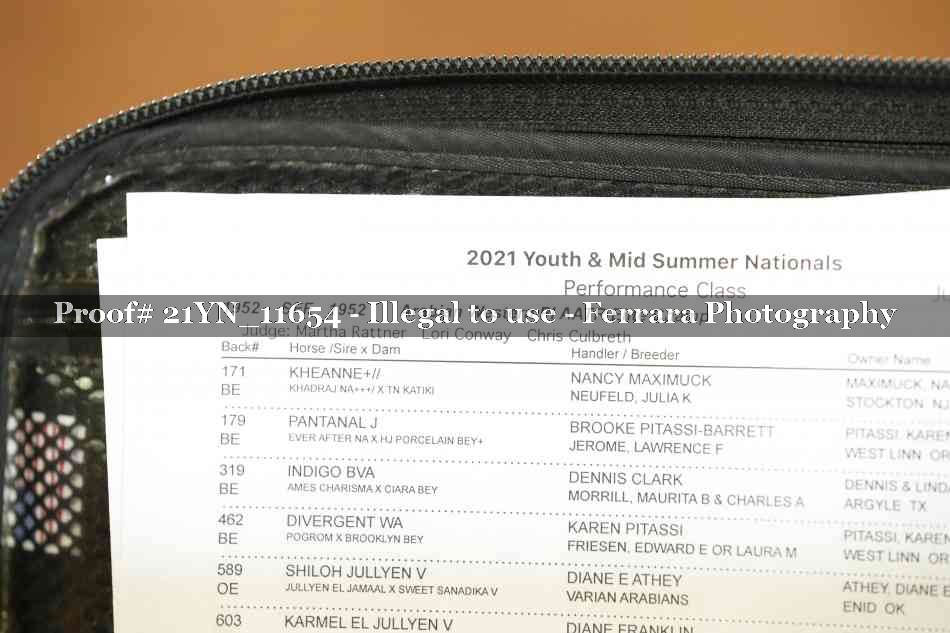 Proof 21YN_11654