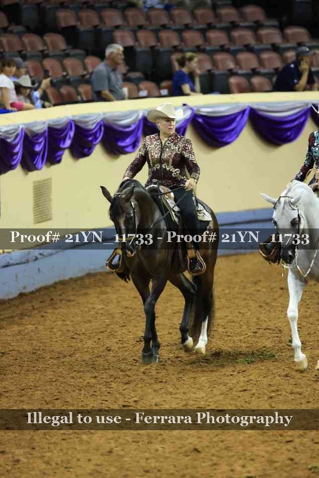 Proof 21YN_11733