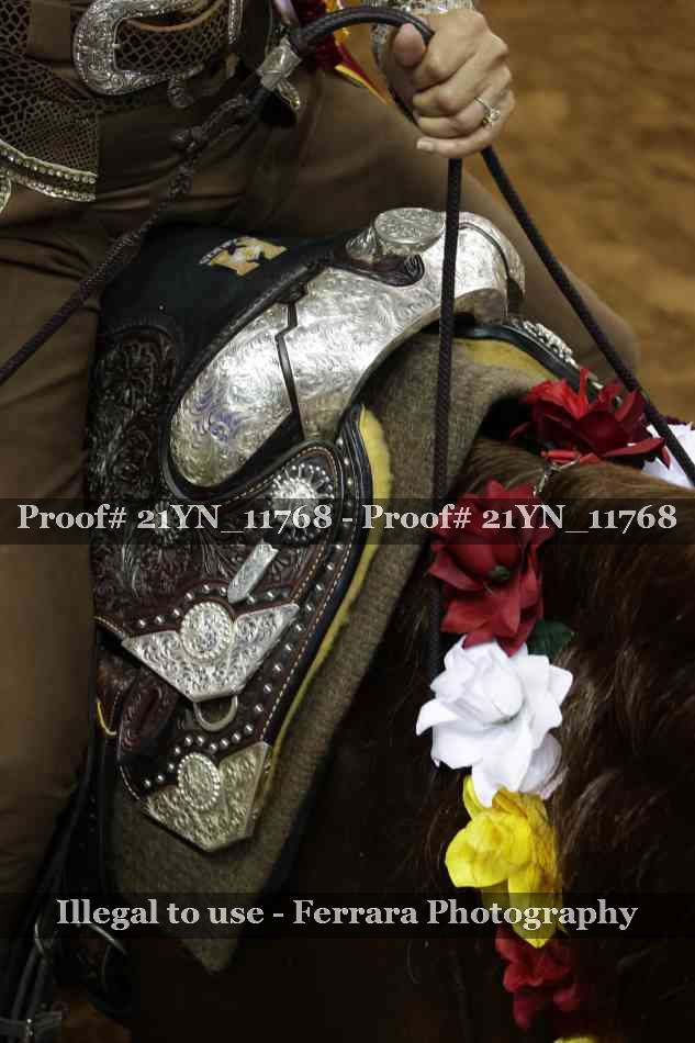 Proof 21YN_11768