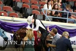 21YN_11783 proof