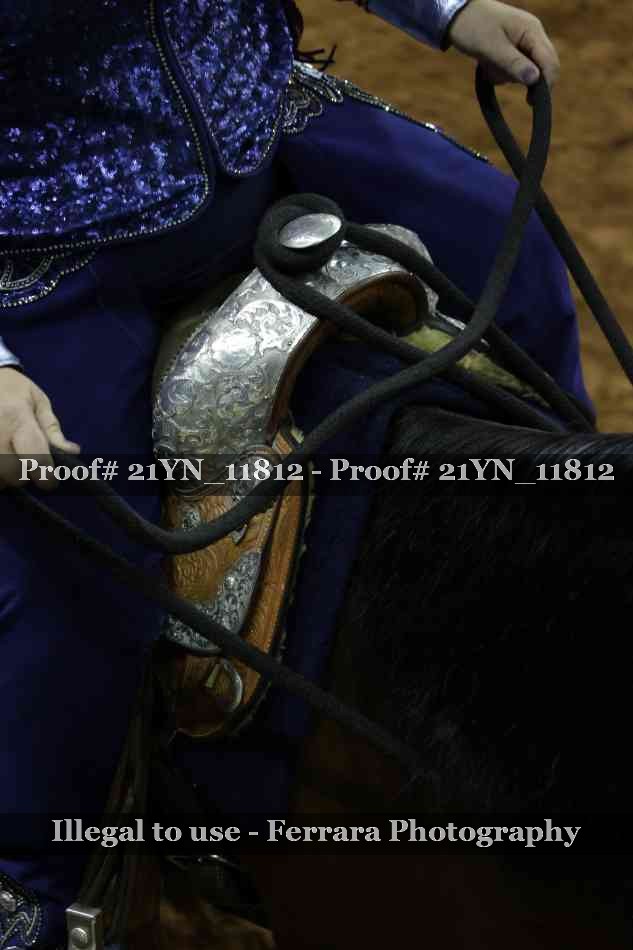 Proof 21YN_11812