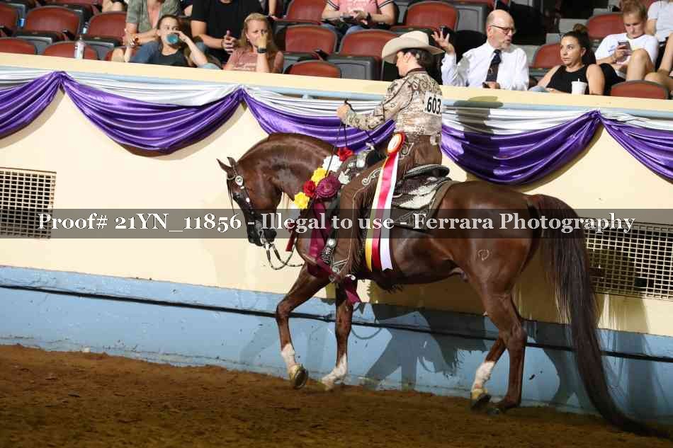 Proof 21YN_11856