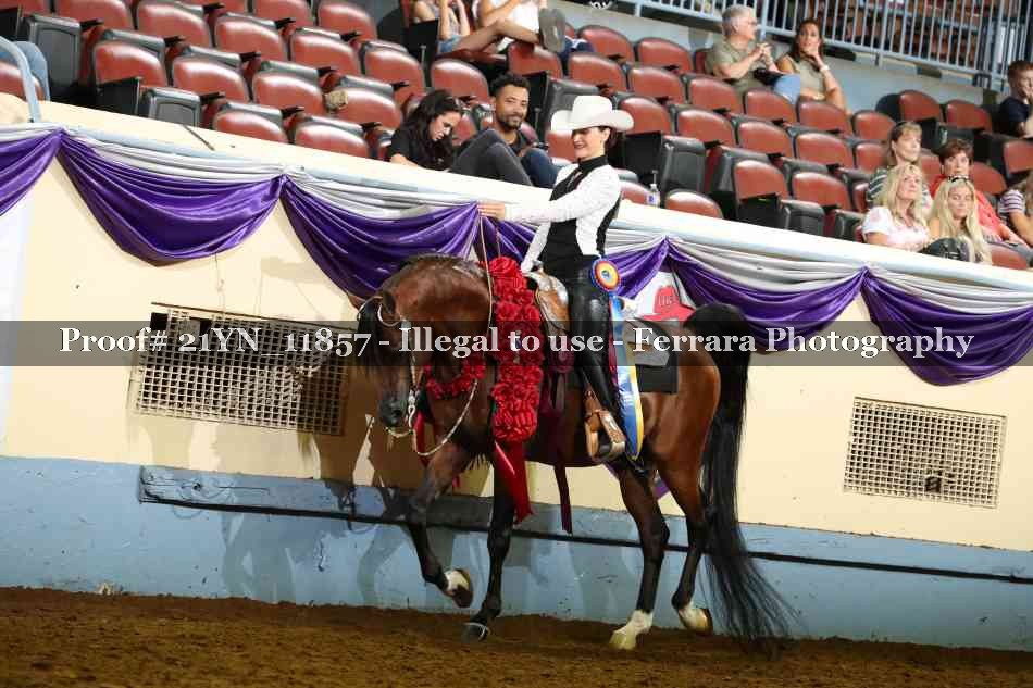 Proof 21YN_11857