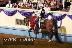21YN_11866 proof