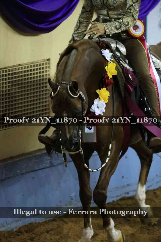 Proof 21YN_11870
