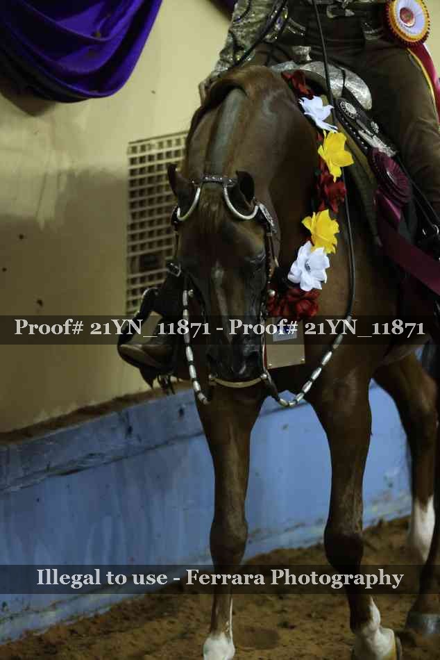 Proof 21YN_11871