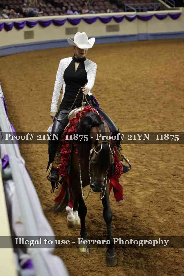Proof 21YN_11875