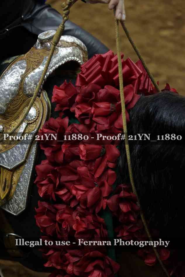 Proof 21YN_11880
