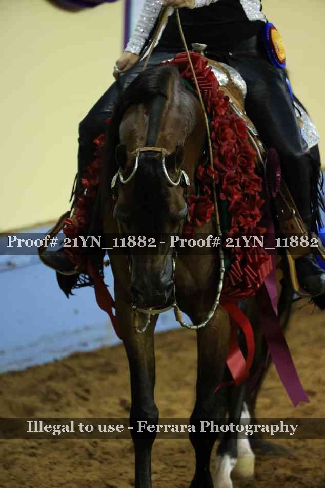 Proof 21YN_11882