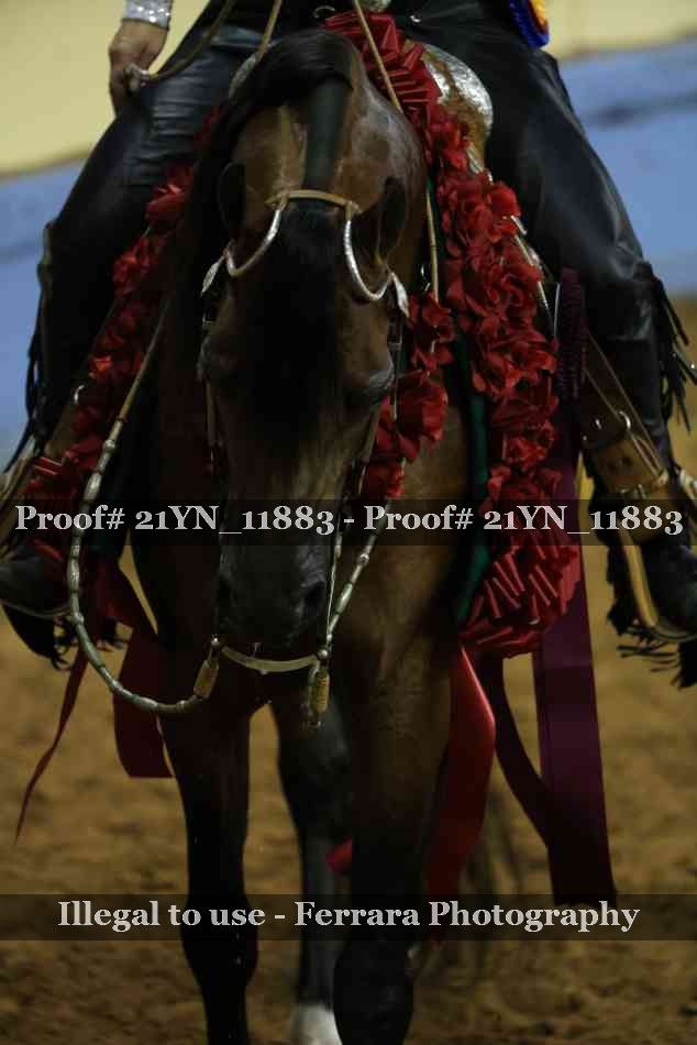 Proof 21YN_11883