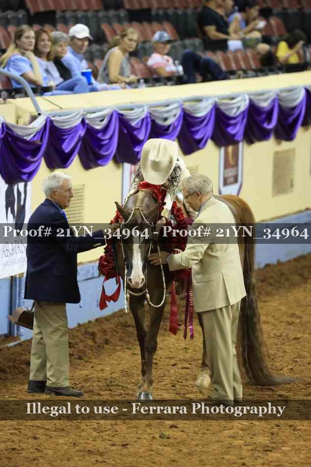 Proof 21YN_34964