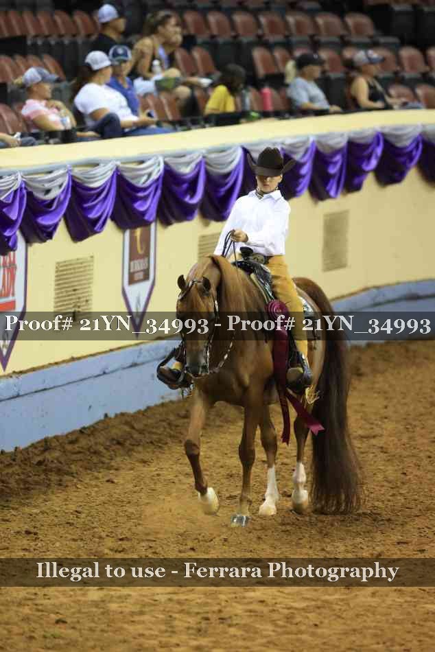 Proof 21YN_34993