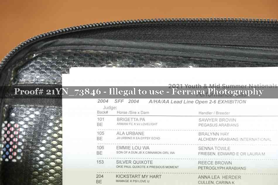 Proof 21YN_73846