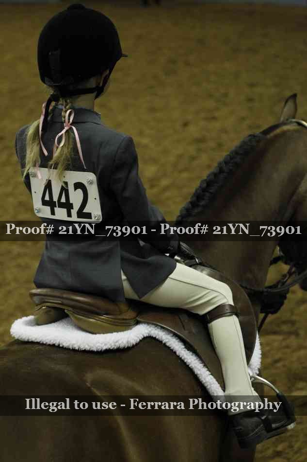 Proof 21YN_73901