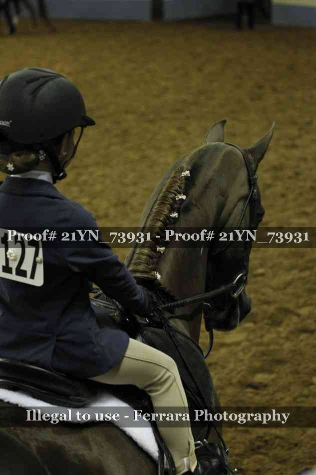 Proof 21YN_73931