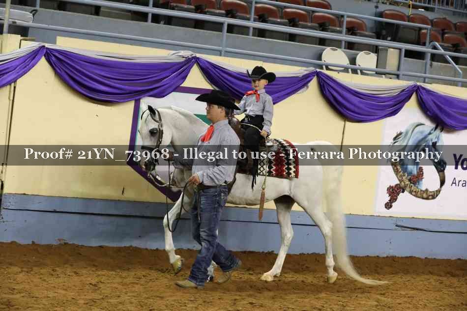Proof 21YN_73968