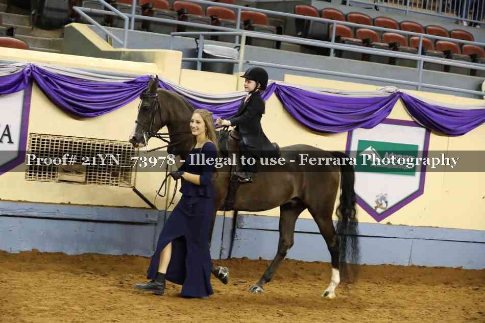 Proof 21YN_73978