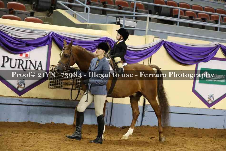 Proof 21YN_73984