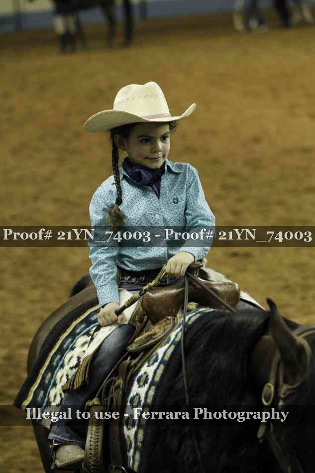 Proof 21YN_74003