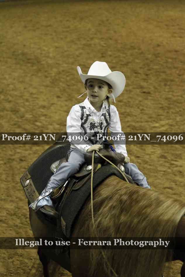 Proof 21YN_74096