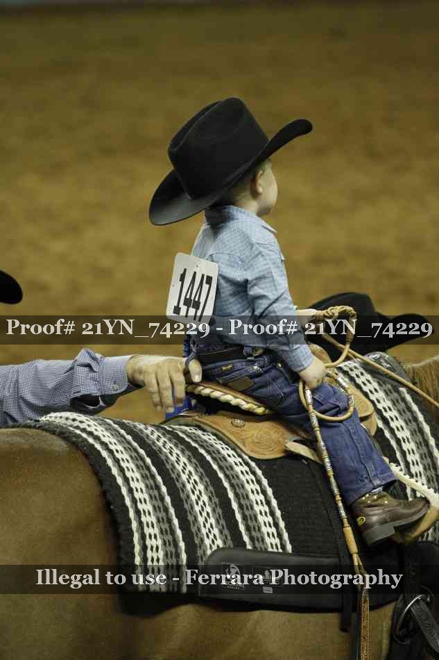 Proof 21YN_74229
