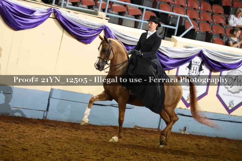Proof 21YN_12505