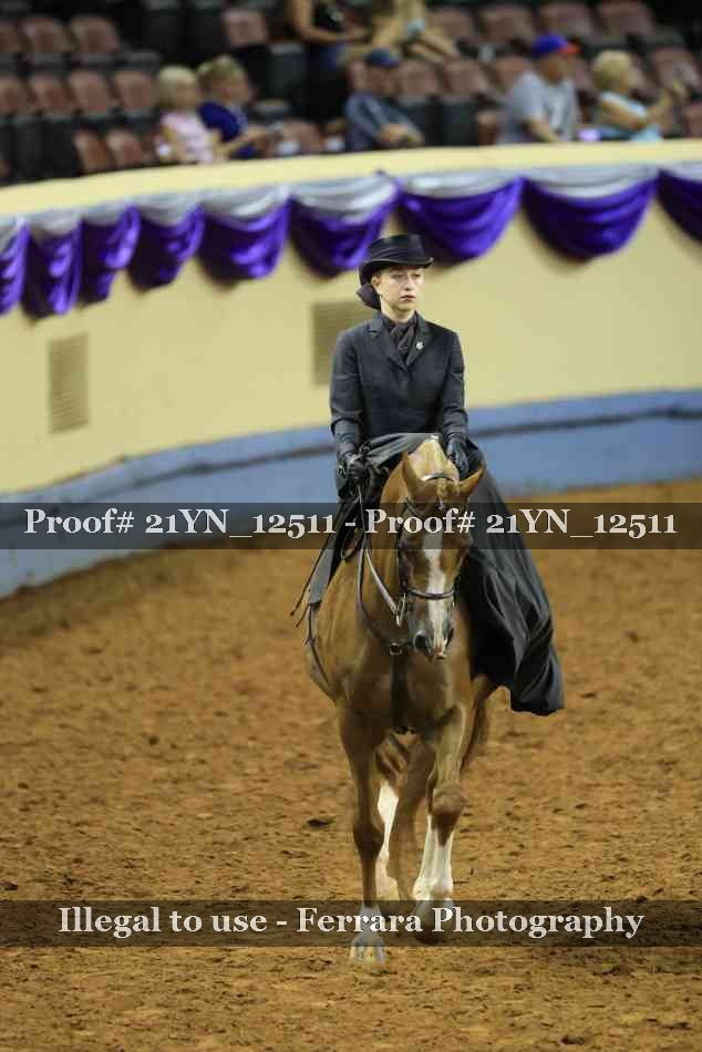 Proof 21YN_12511