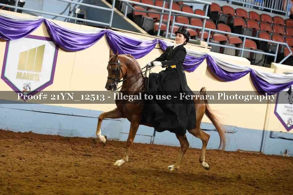Proof 21YN_12513
