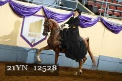 21YN_12528 proof