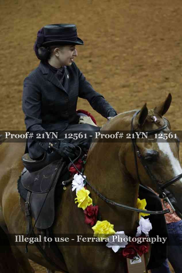Proof 21YN_12561
