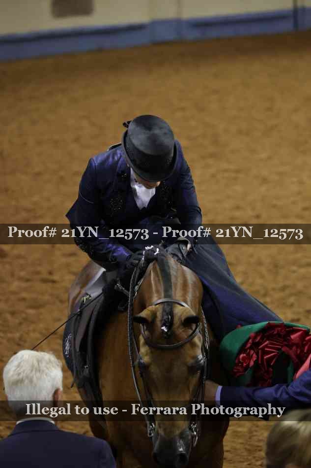 Proof 21YN_12573