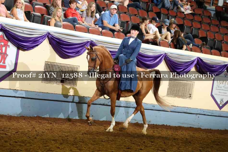 Proof 21YN_12588