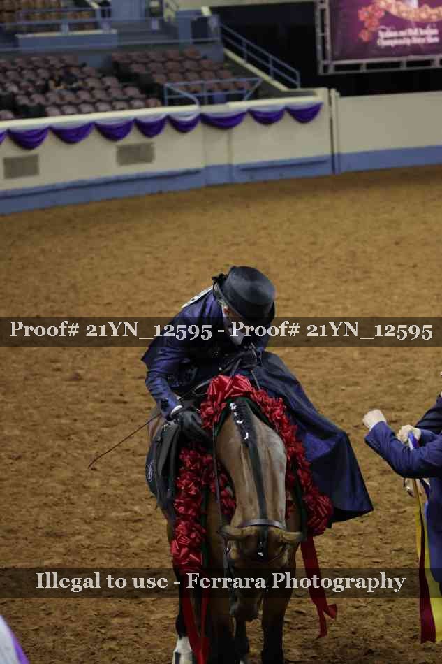 Proof 21YN_12595