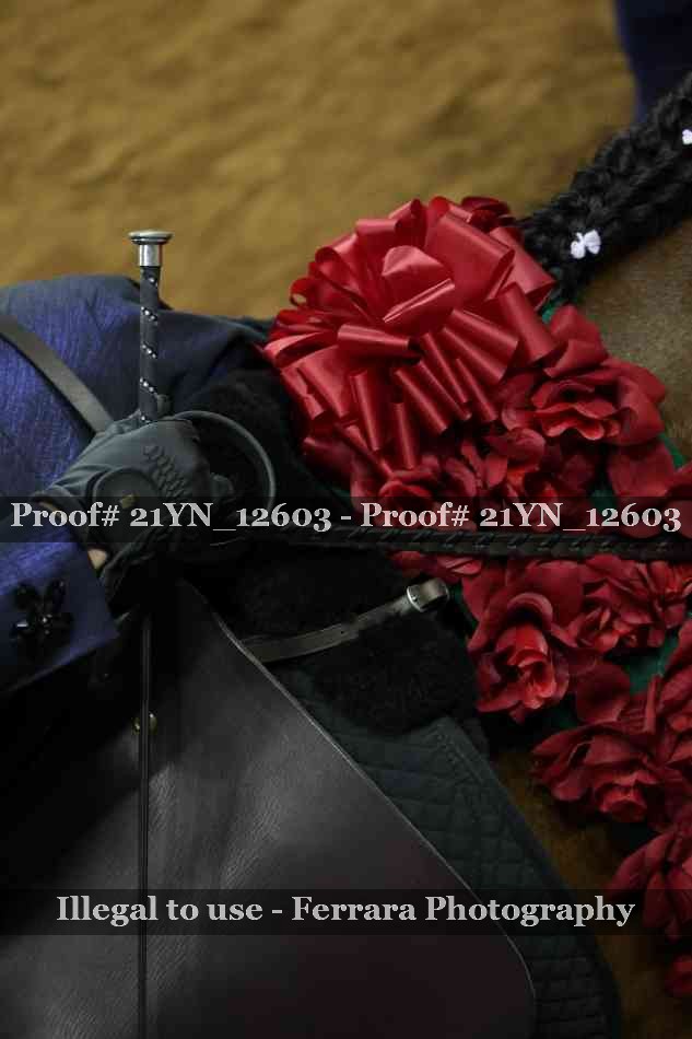 Proof 21YN_12603