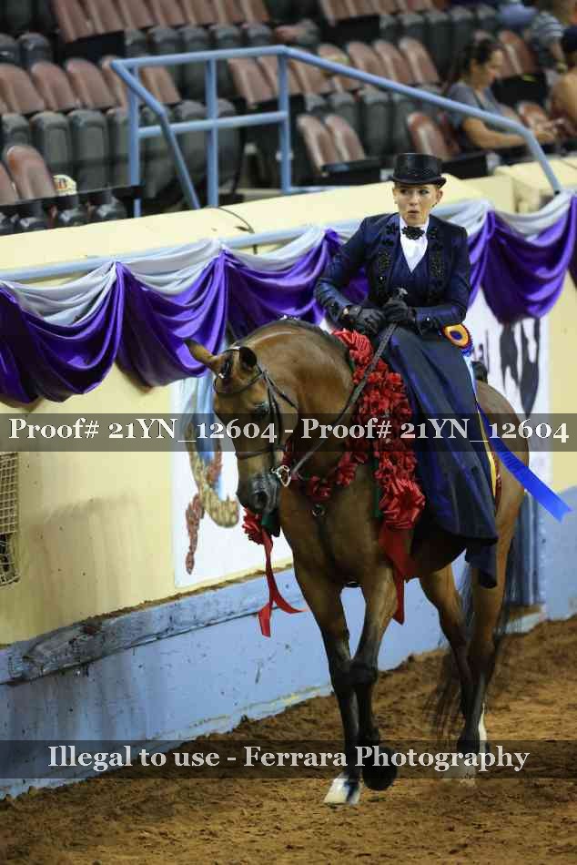 Proof 21YN_12604