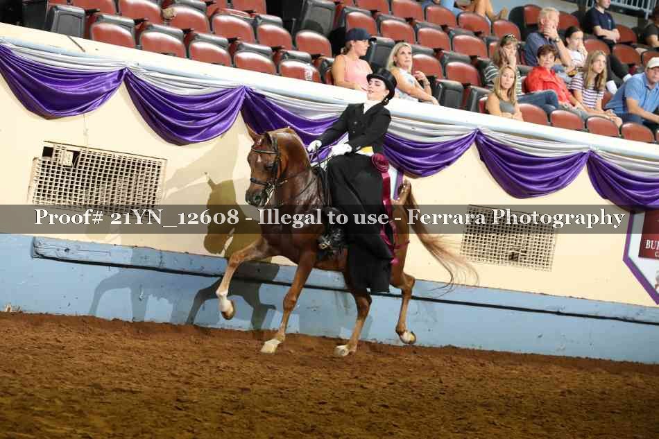 Proof 21YN_12608