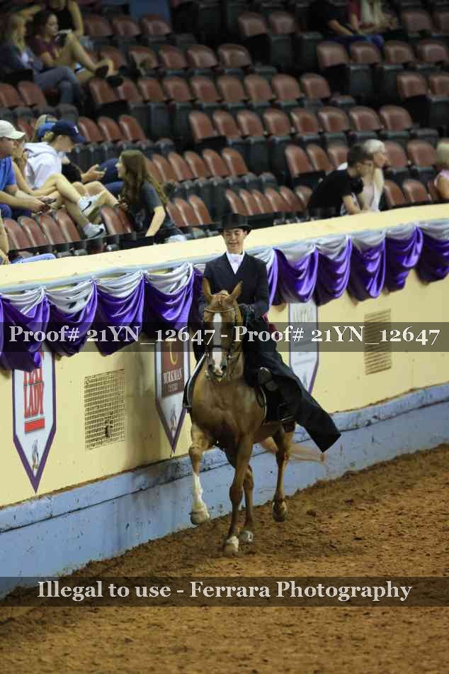 Proof 21YN_12647