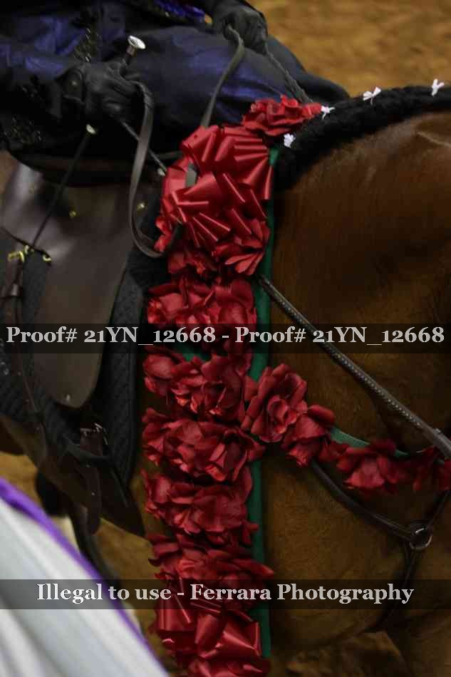 Proof 21YN_12668