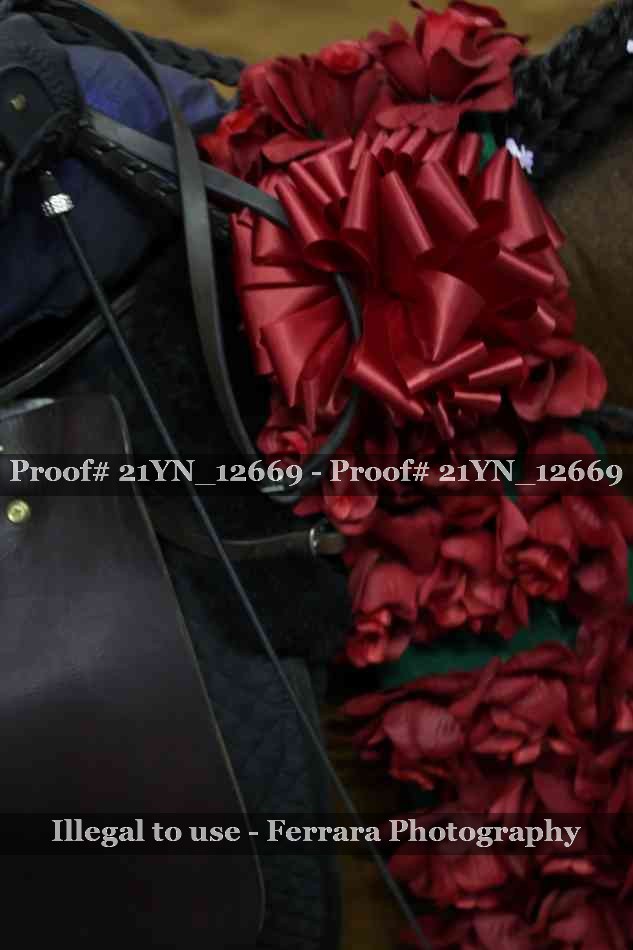 Proof 21YN_12669