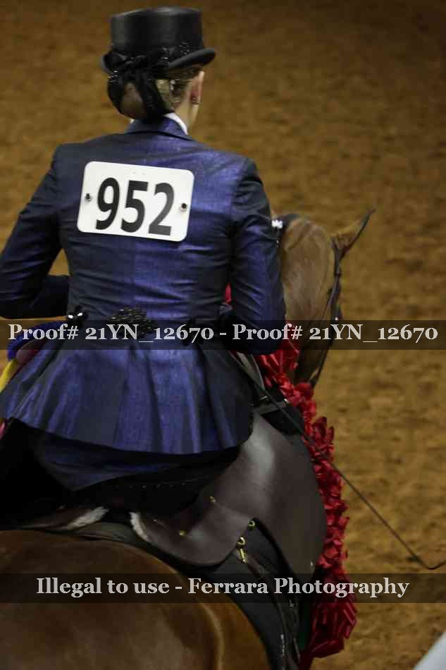 Proof 21YN_12670