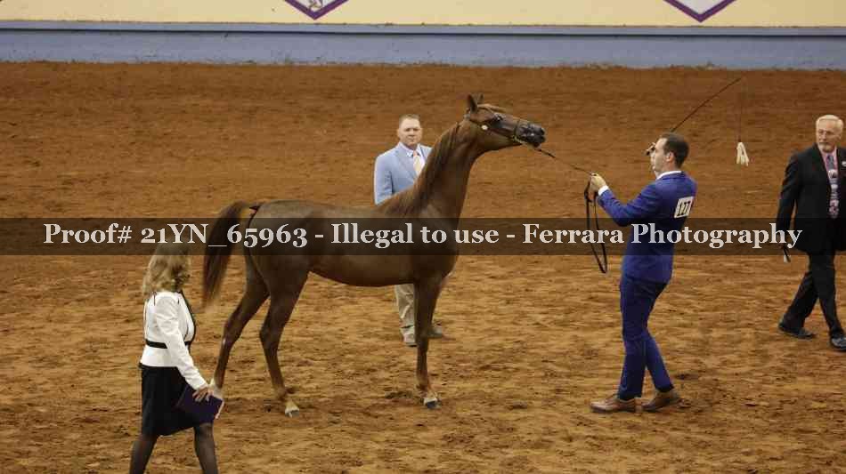 Proof 21YN_65963