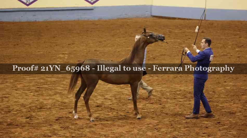 Proof 21YN_65968
