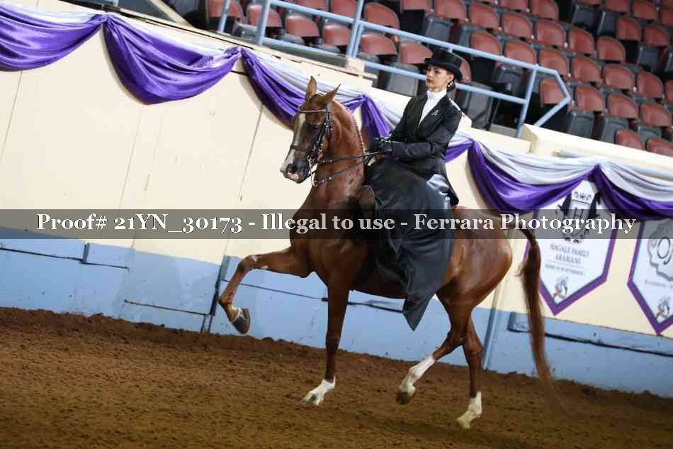Proof 21YN_30173