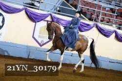 21YN_30179 proof