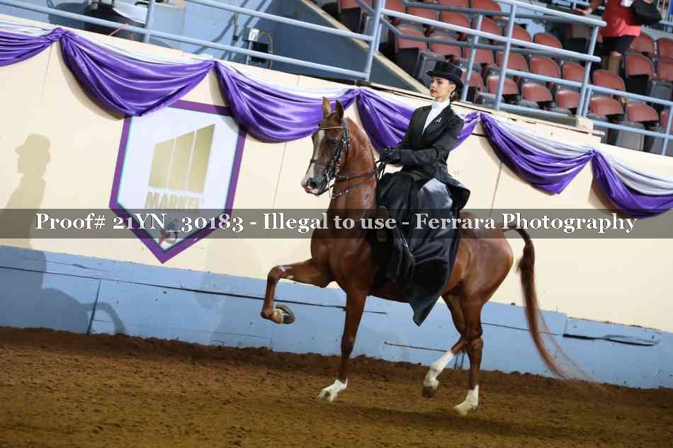 Proof 21YN_30183
