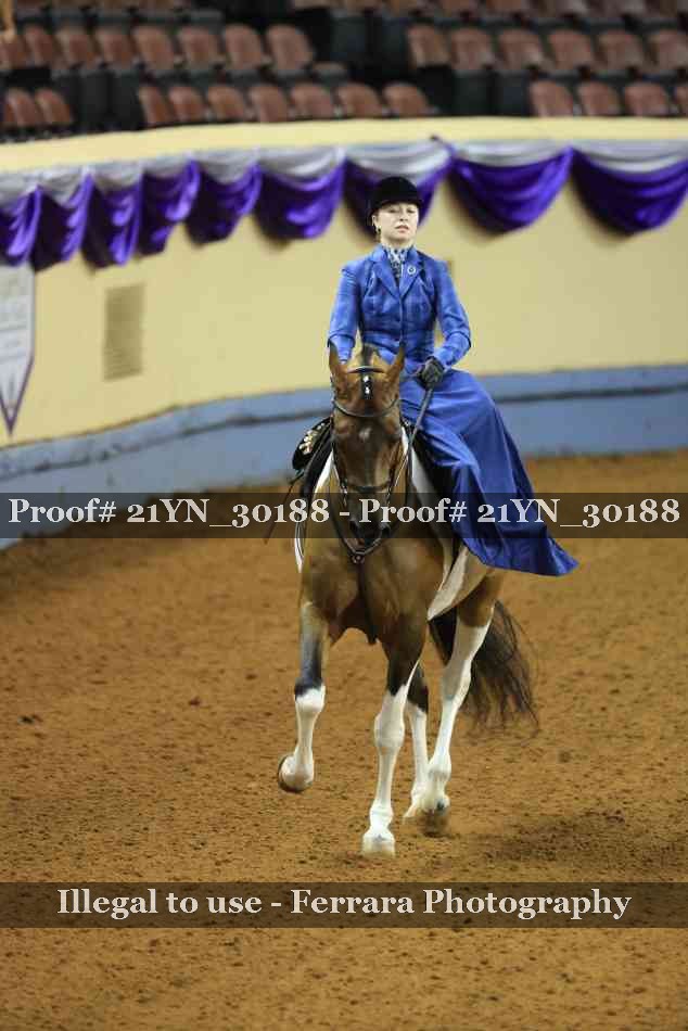 Proof 21YN_30188