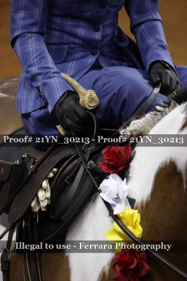 Proof 21YN_30213