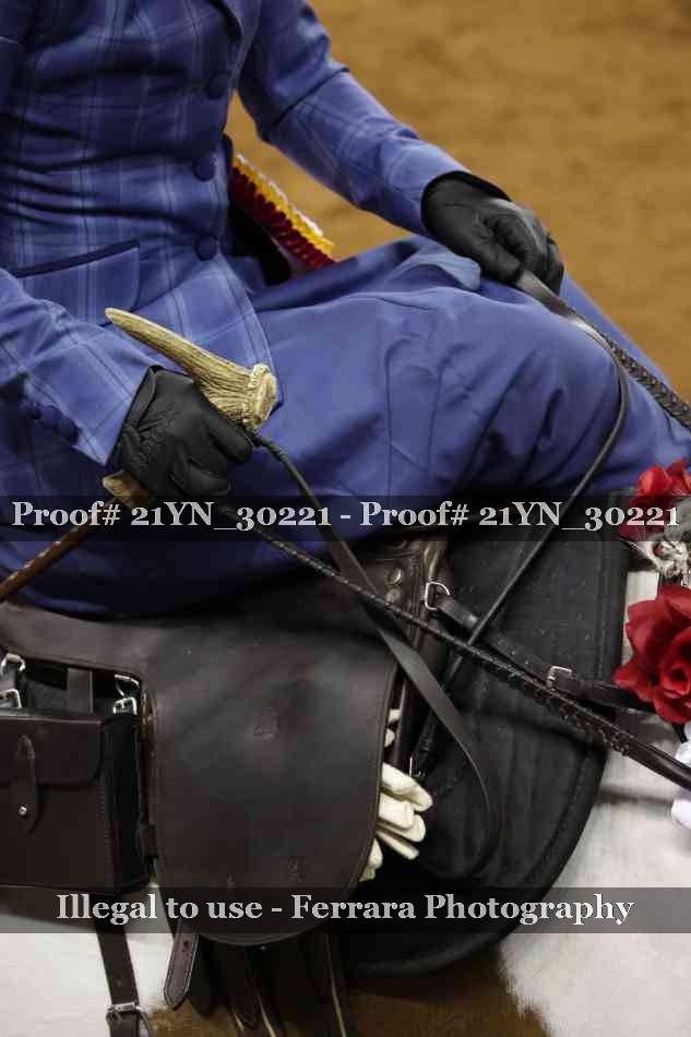 Proof 21YN_30221