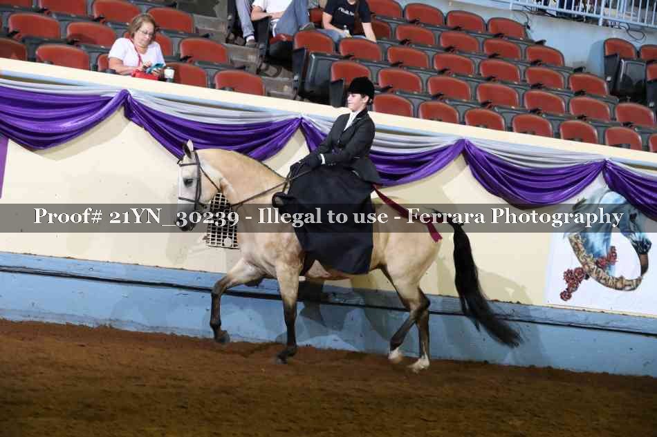 Proof 21YN_30239